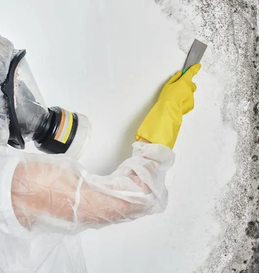 mold remediation services michigan