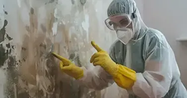 Mold inspection in Birmingham MI